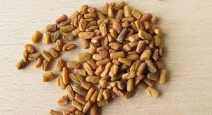 Fenugreek Seeds